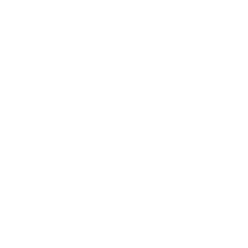 Gouvernement Français
